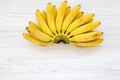Bunch of baby banana. White wooden background, top view. Copy space. Royalty Free Stock Photo