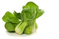 Bunch of Baby Bok Choy Royalty Free Stock Photo