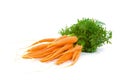 Bunch of Baby Carrots over white Royalty Free Stock Photo