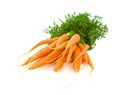 Bunch of Baby Carrots over white Royalty Free Stock Photo