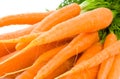 Bunch of Baby Carrots over white Royalty Free Stock Photo