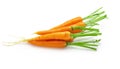 Bunch of baby carrots vegetable isolated over white background Royalty Free Stock Photo