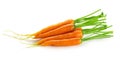 Bunch of baby carrots vegetable isolated over white background Royalty Free Stock Photo