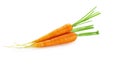 Bunch of baby carrots vegetable isolated over white background Royalty Free Stock Photo