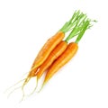 Bunch of baby carrots vegetable isolated over white background Royalty Free Stock Photo