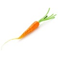 Bunch of baby carrots vegetable isolated over white background Royalty Free Stock Photo