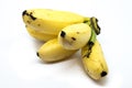 Bunch of baby golden banana on white background. Royalty Free Stock Photo