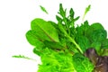 Bunch of baby green leaves isolated on white background. Arugula, spinach, beet, lettuce salad foliage close up. Royalty Free Stock Photo