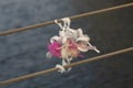 Bunch of baby pacifiers fixed to a railing wire on a bridge.