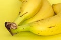 Bunch of banana close-up view Royalty Free Stock Photo