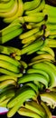 A bunch of banana fruit for sell