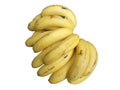 Bunch of banana fruit yellow isolated Royalty Free Stock Photo