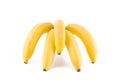 A bunch of bananas Royalty Free Stock Photo