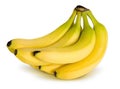 Bunch of bananas Royalty Free Stock Photo