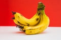 Bunch of bananas against red background Royalty Free Stock Photo