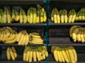 Bunch of bananas on boxes in supermarket malaysia. Royalty Free Stock Photo