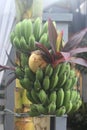 A bunch of bananas, a coconut and palm lily, as part of sesajen, the offerings