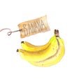 Bunch of bananas with craft paper tag