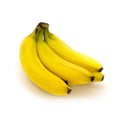 Bunch of Bananas Isolated Royalty Free Stock Photo
