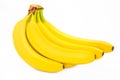 Bunch of bananas isolated on white background Royalty Free Stock Photo