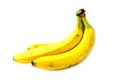 Bunch of bananas isolated on white background Clipping Path Royalty Free Stock Photo