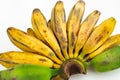 Bunch of bananas isolated on white background. Flat lay. Top view. Summer fruit concept Royalty Free Stock Photo