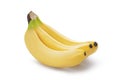 Bunch of bananas isolated on white background. Ripe bananas Clipping Path. Quality macro photo Royalty Free Stock Photo