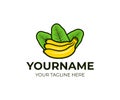 Bunch of bananas with leaves, logo template. Tropical and exotic fruit, vector design