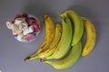 bunch of bananas next to slices of frozen bananas Royalty Free Stock Photo