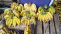 a bunch of bananas for sale in the market Royalty Free Stock Photo