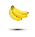 Bunch of bananas vector on white background