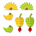 Bunch of bananas with yellow and green Royalty Free Stock Photo