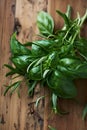 Bunch of Basil and Rosemary Royalty Free Stock Photo