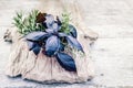 Bunch of Basil and rosemary on a lovely wooden background Royalty Free Stock Photo