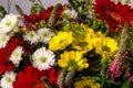 Bunch of beautiful flowers with many colors