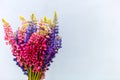 Bunch of beautiful lupine purple flowers against grey background. Bouquet of vivid summer flowers Royalty Free Stock Photo