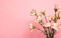 Bunch with a beautiful pink carnation flower on white table Royalty Free Stock Photo