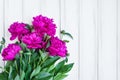 Pink peony flowers on white vintage wooden table. Flat lay, top view with place for text Royalty Free Stock Photo