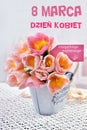 Bunch of tulips for Womens Day in Poland Royalty Free Stock Photo