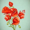 Bunch of Beautiful Red Poppy vector illustration