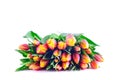 Bunch of Bicolor Orange-Yellow Tulips Royalty Free Stock Photo