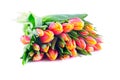 Bunch of Bicolor Orange-Yellow Tulips Royalty Free Stock Photo