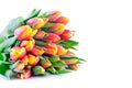 Bunch of Bicolor Orange-Yellow Tulips Royalty Free Stock Photo