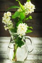 Bunch of bird tree flowers