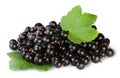 Bunch Of Black Currant With Two Leafs Royalty Free Stock Photo