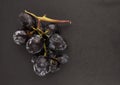 A bunch of black fresh grapes on the black surface. Royalty Free Stock Photo