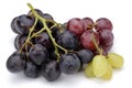 Bunch of black grape with red grape and green grape Royalty Free Stock Photo