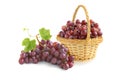 Bunch of black grapes and grapes in a wicker basket isolated on white Royalty Free Stock Photo