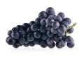 Bunch of black grapes isolated on white background Royalty Free Stock Photo