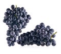 Bunch of black grapes isolated on white background Royalty Free Stock Photo